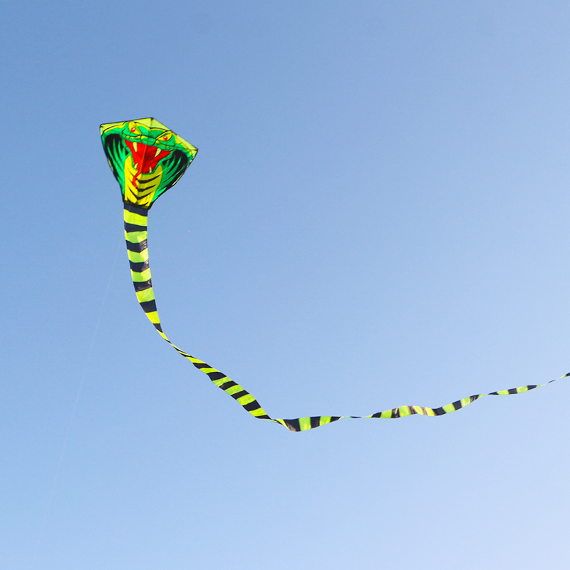 Paradise Bird 8m/15m Snake Kit - đánh giá và giá Outdoor Sport Outlet