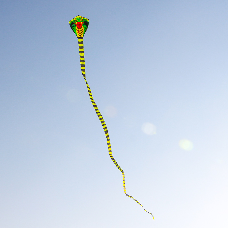 Paradise Bird 8m/15m Snake Kit - đánh giá và giá Outdoor Sport Outlet